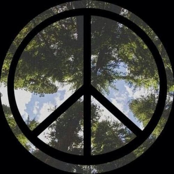 ♪‧₊˚ - Picture 3 of 6